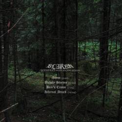 Sceneries from Arcane Woods